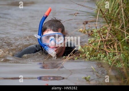 Moor Schnorcheln Meisterschaft Jahresveranstaltung Llanwrtyd Wells in Wales, UK. Stockfoto