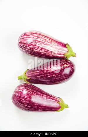 Gruppe von lila Aubergine isoliert auf weiss Stockfoto