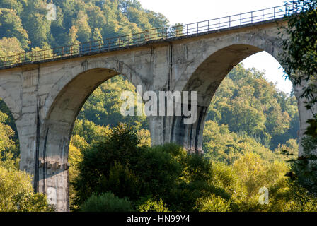 Eisenbahnbrücke zwischen Bergen mit vielen Bäumen und Rasen Stockfoto