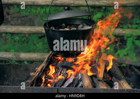 Den Topf auf dem Feuer mit Pilzen im alten Wald Stockfoto