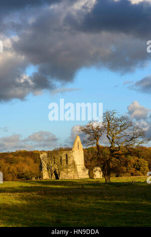 Die Ruinen von Newark Priory, in der Nähe von Ripley, Surrey, England Stockfoto