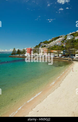 Strand an der Oriental Bay, Wellington, Nordinsel, Neuseeland Stockfoto