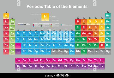 Periodische Tabelle der Elemente-Vektor-Illustration - einschließlich 2016 die vier neue Elemente Nihonium, Moscovium, Tennessine und Oganesson Stock Vektor