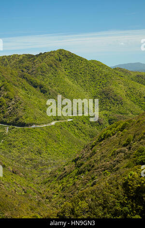 Rimutaka Hill Road, in der Nähe von Wellington, Nordinsel, Neuseeland Stockfoto