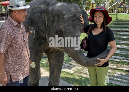 Elefant Thailand. Frau Tourist posiert für Fotografien mit einem jungen asiatischen Elefanten. Menschen In Südostasien Stockfoto