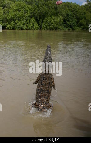 Adelaide River, Northern Territories, Australien Stockfoto