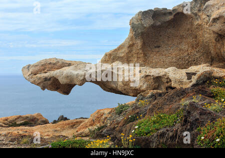 Felsigen Mittelmeerküste Sommer Blick von Creus Kap (Cap de Creus) mit Felsformationen vor, Costa Brava, Katalonien, Spanien. Stockfoto