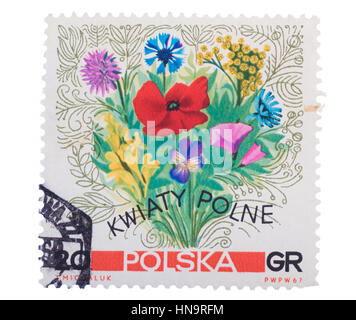 Polen - CIRCA 1967: Eine Briefmarke gedruckt in zeigt Bouquet von Stockfoto