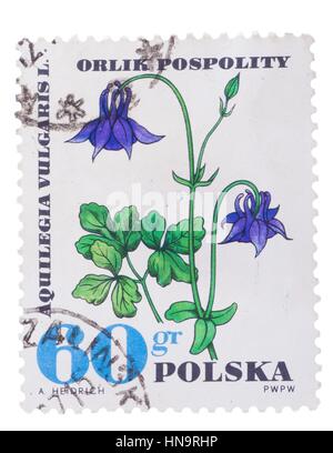 Polen - CIRCA 1967: Eine Briefmarke gedruckt in zeigt Akelei, Stockfoto