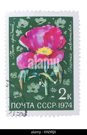 UdSSR - CIRCA 1974: Eine Briefmarke gedruckt in der, zeigt Flora li Stockfoto