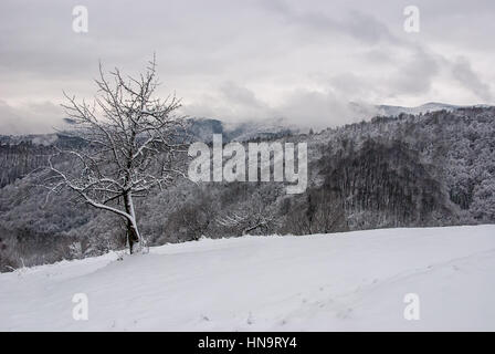 Berg-Oman zwischen Majdanpek und Donji Milanovac in Serbien, am Ufer Donau. Die Grenze zwischen Rumänien und Serbien. Berge und Wälder Abdeckung Stockfoto