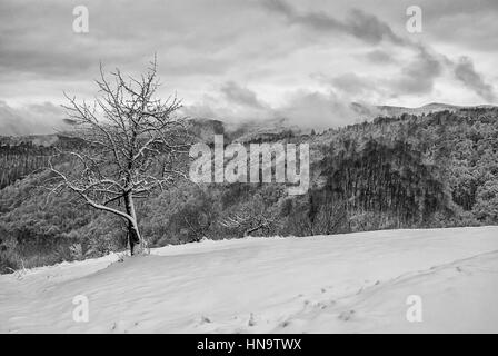 Berg-Oman zwischen Majdanpek und Donji Milanovac in Serbien, am Ufer Donau. Die Grenze zwischen Rumänien und Serbien. Berge und Wälder Abdeckung Stockfoto