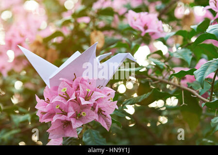 Nahaufnahme von Papierkranich im Natur-Garten-Hintergrund Stockfoto