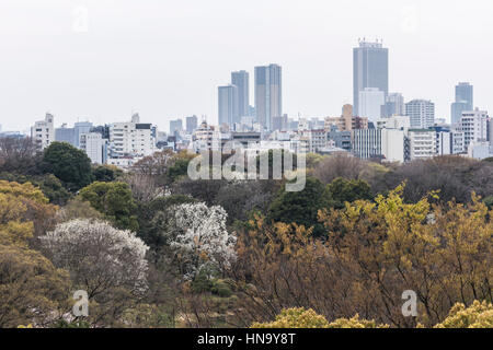 Wolkenkratzer von Ikebukuro, über Rikugien Garten, Bunkyo-Ku, Tokyo, Japan Stockfoto