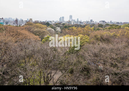 Wolkenkratzer von Ikebukuro und Shinjuku, über Rikugien Garten, Bunkyo-Ku, Tokyo, Japan Stockfoto