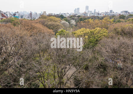 Wolkenkratzer von Ikebukuro und Shinjuku, über Rikugien Garten, Bunkyo-Ku, Tokyo, Japan Stockfoto