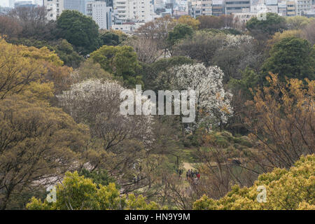 Gesamtansicht der Rikugien Garten, Bunkyo-Ku, Tokyo, Japan Stockfoto