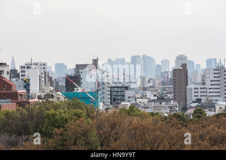 Wolkenkratzer von Shinjuku, über Rikugien Garten, Bunkyo-Ku, Tokyo, Japan Stockfoto