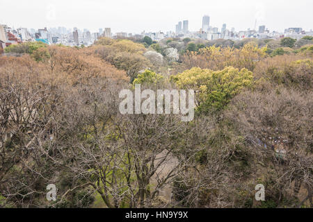 Wolkenkratzer von Ikebukuro und Shinjuku, über Rikugien Garten, Bunkyo-Ku, Tokyo, Japan Stockfoto