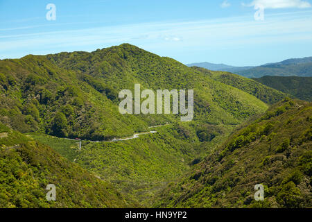 Rimutaka Hill Road, in der Nähe von Wellington, Nordinsel, Neuseeland Stockfoto