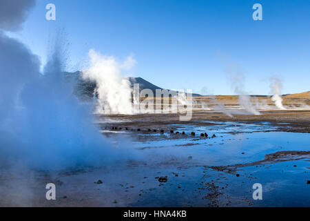 Geysire del Tatio, das größte Geysirfeld der Südhalbkugel Stockfoto