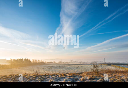 Wunderschönen Sonnenaufgang goldene Stunde an einem nebligen Morgen an der Spitze der Otley Chevin, West Yorkshire Stockfoto