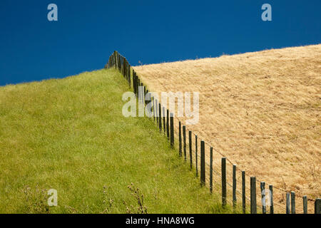 Zaun und Ackerland in der Nähe von Martinborough, Wairarapa, Lower North Island, Neuseeland Stockfoto