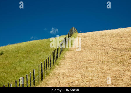 Zaun und Ackerland in der Nähe von Martinborough, Wairarapa, Lower North Island, Neuseeland Stockfoto