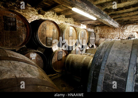 Birne Cidre und Calvados hergestellt von Frédéric Pacory im Département Orne (2015/02/03) Stockfoto