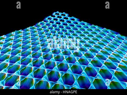 Graphene Blatt. Abbildung der molekularen Struktur von Graphen, eine einzelne Schicht aus Graphit atomarer Skala. Es besteht aus Hexagonal angeordneten Kohlenstoffatome durch starke kovalente Bindungen miteinander verbunden. Graphen ist sehr stark und flexibel. Es transportiert Elektronen hocheffizient und vielleicht eines Tages ersetzen Silizium in Computer-Chips und andere Anwendungen. Stockfoto