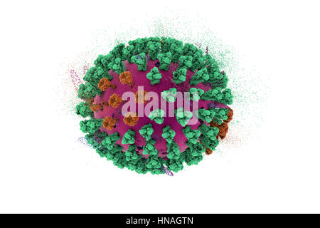 Zerstörung des Vogelgrippe-Virus, konzeptionelle 3D Darstellung. Dies ist eine Vogelgrippe H5N8 Viruspartikel. Dieser Stamm des Virus verursachte Krankheit bei Wildvögeln und Geflügel in Europa und Asien seit Juni 2016. Ungewöhnlich ist, verursacht das Virus Mortalität bei Wildvögeln, die mehr oft leisen Fördermaschinen sind. Ab Februar 2017 keine Fälle der Krankheit beim Menschen gemeldet wurden, und Risiko der Übertragung auf den Menschen wird gedacht, um niedrig zu sein. Stockfoto