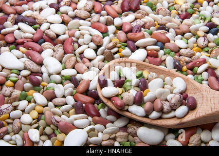 Fünfzehn Bohnen für Bohnensalat auf einem Holzlöffel auf einem Hintergrund Haufen von Bohnen und Linsen. Stockfoto