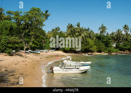 Strand von Dondra in der Nähe von Matara, Sri Lanka Stockfoto