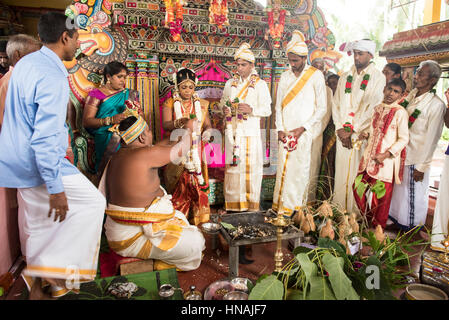 Hinduistische Hochzeitszeremonie, Deniyaya, Sri Lanka Stockfoto