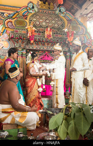 Hinduistische Hochzeitszeremonie, Deniyaya, Sri Lanka Stockfoto