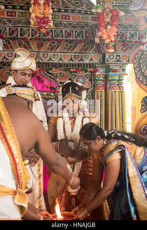 Hinduistische Hochzeitszeremonie, Deniyaya, Sri Lanka Stockfoto