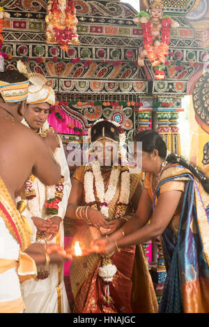 Hinduistische Hochzeitszeremonie, Deniyaya, Sri Lanka Stockfoto