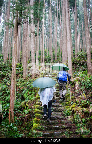 Pilger in Ogumotori-Goe Abschnitt Kumano Kodo, Nakahechi route, Wakayama, Kinki, Japan Stockfoto