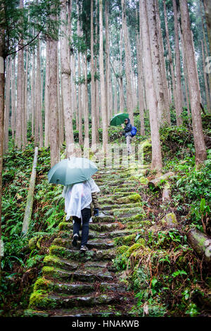 Pilger in Ogumotori-Goe Abschnitt Kumano Kodo, Nakahechi route, Wakayama, Kinki, Japan Stockfoto