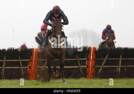 High Bridge geritten von Herrn Alex Ferguson führt das Feld von dem letzten Flug vor dem Schlafengehen auf die Read Paul Nicholls Exclusivelely bei Betfair Novizinnen Hürdenrennen laufen bei Betfair Super Samstag um Newbury Racecourse gewinnen. Stockfoto