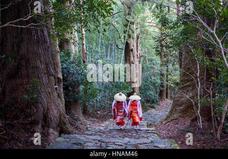 Pilger in historischen Kostümen Heian, Daimon-Zaka Hang, Zugriff am Kumano Nachi Taisha Grand Shire, Kumano Kodo, Nakahechi route, Wakayama, Kinki, Japa Stockfoto