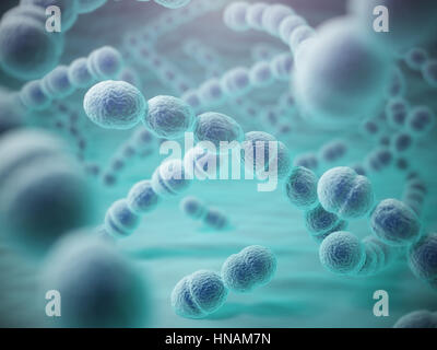 Streptococcus Pneumoniae oder Pneumokokken-Bakterien. 3D illustration Stockfoto
