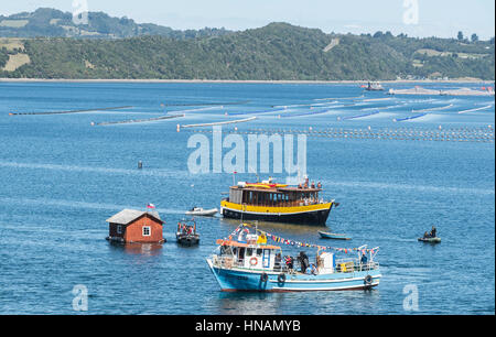 Minga in Chiloé in Chile. Liucura, Insel Lemuy, Archipel von Chiloé. Zeugnis der Kultur, die noch in einigen weit entfernten Orten von Chile andauert. Stockfoto