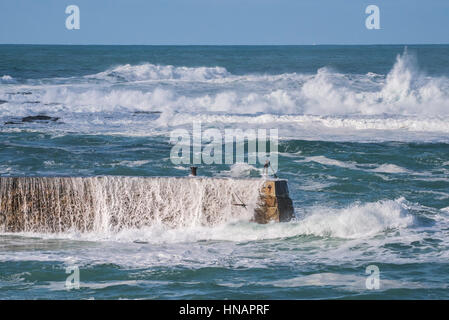 Starke Winde fahren Wellen über der Oberseite von der Mole in Sennen Cove, Cornwall, England. Großbritannien Wetter. Stockfoto