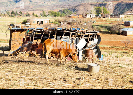 Bewegungsunschärfe in Lesotho Malealea Straßendorf in der Nähe von Berg und Himmel Stockfoto