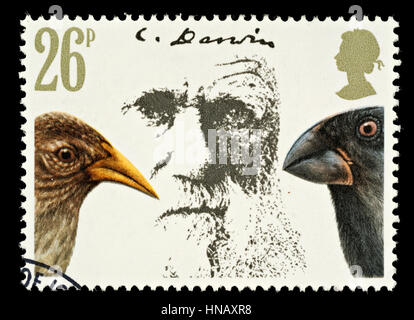 Vereinigtes Königreich - ca. 1981: Ein britischer verwendete Briefmarke zeigt Charles Darwin Evolutionstheorie und Finken Stockfoto