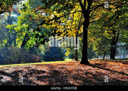 Mailand-Sempione Park Sforzesco Schloss im Herbst Stockfoto