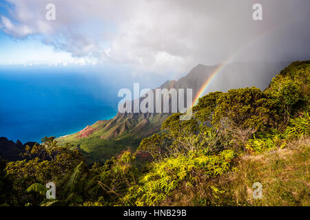 Das Kalalau Valley und die Na Pali Coast, fotografiert vom Pihea Trail im Kokee State Park auf der hawaiianischen Insel Kauai. Stockfoto