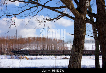 SL Fuyu-keine-Shitsugen Zug, Kushiro Shitsugen Nationalpark, Hokkaido, Japan Stockfoto