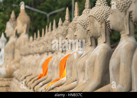 Reihe Mit Buddha Statuen des Wat Yai Chai Mongkon, Geschichtspark Ayutthaya, Thailand, Asien |  Reihe von Buddhastatuen im Wat Yai Chai Mongkons, Ayut Stockfoto